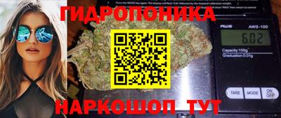 скорость Берёзовский