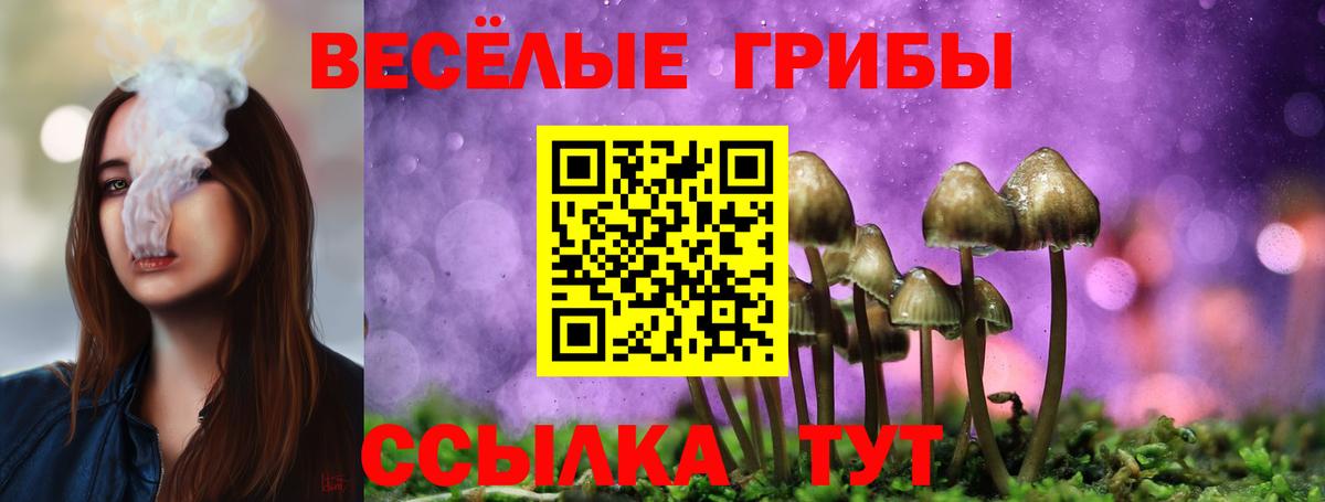 Псилоцибиновые грибы GOLDEN TEACHER Знаменск