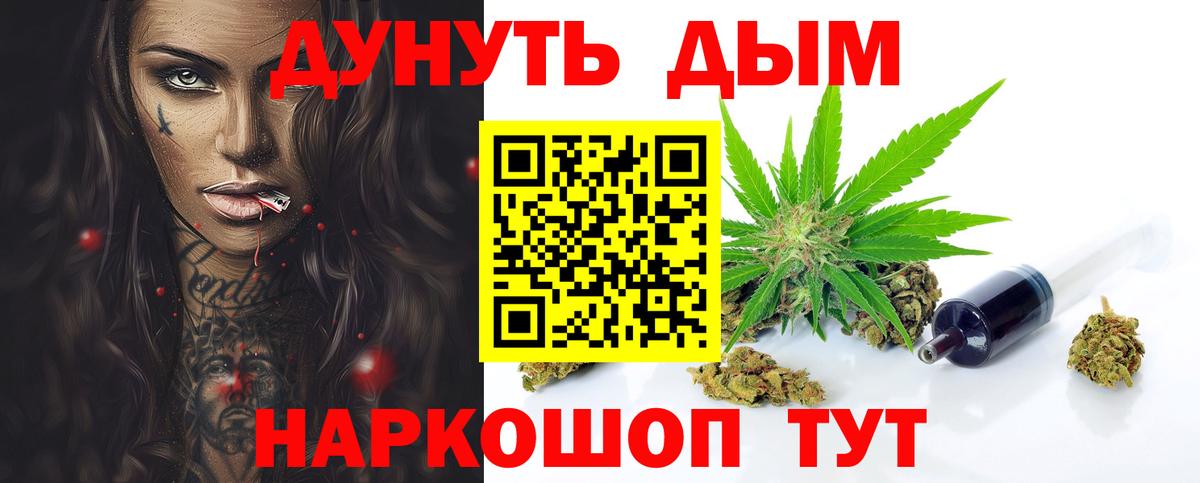 Каннабис сатива Знаменск